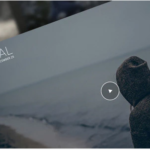 VYSUAL - Responsive Film Campaign WP Theme