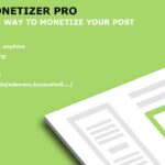 Content Monetizer Pro - WordPress Plugin