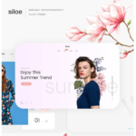 Siloe - Minimal Fashion WooCommerce Theme